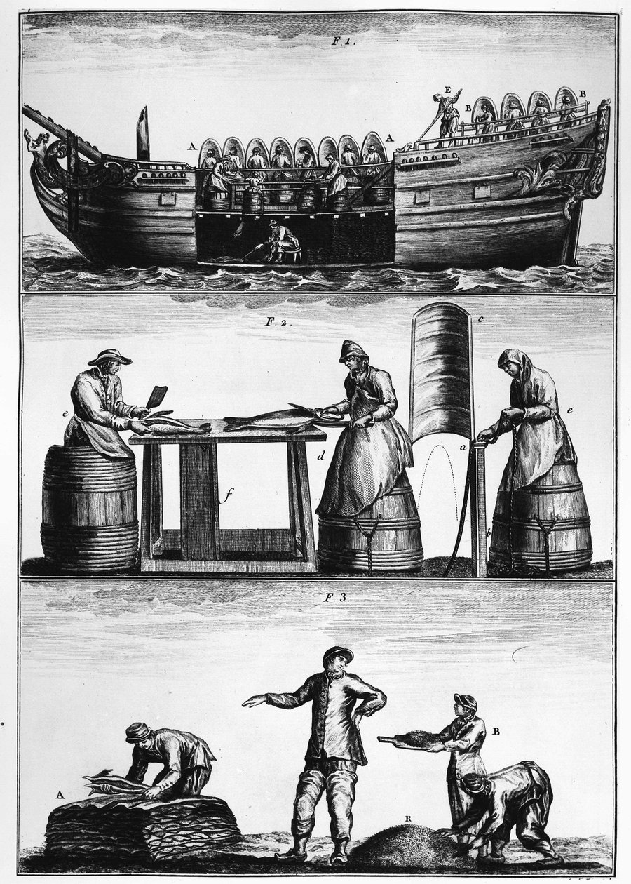 Pesca del bacalao: carga, corte y salado del pescado - en 