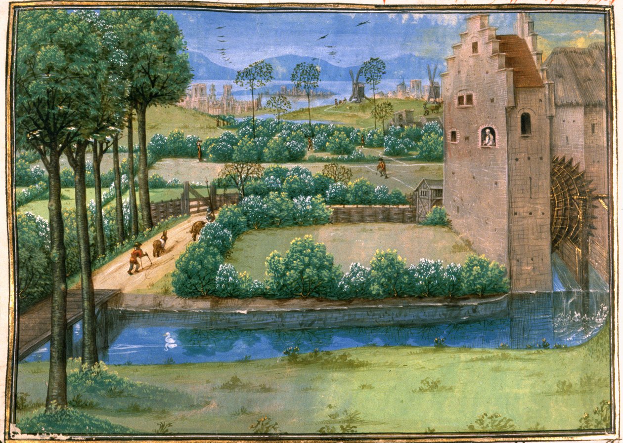 Cott Aug A V f.345v Paisaje flamenco con un molino de agua en primer plano y un molino de viento en segundo plano, de la 