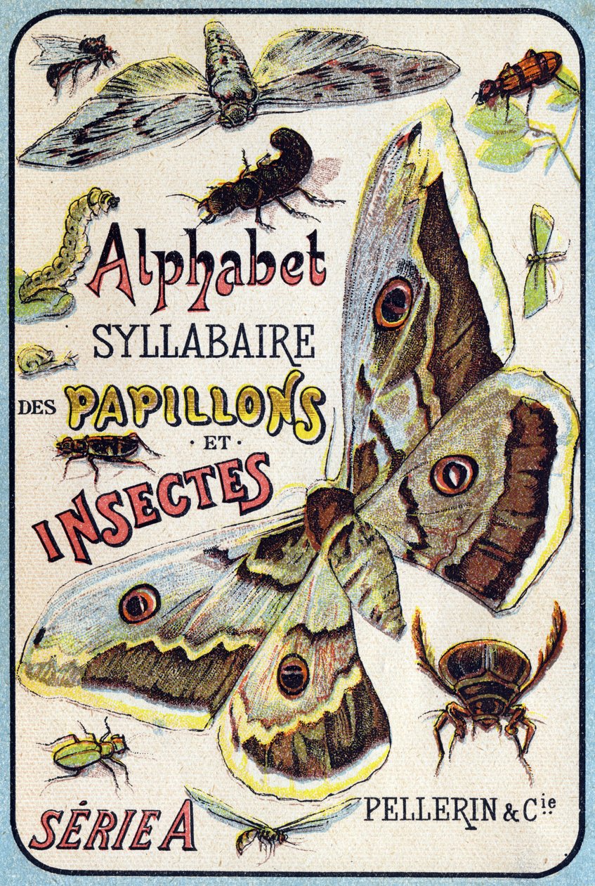 Portada de "Syllabary alphabet of butterflies and insects". Serie A. Pellerin et Cie, impresores-editores, Epinal, finales del siglo XIX. Cromolitografías. Pequeño álbum publicitario de 8 páginas que contiene un silabario y una imaginería acompañada de tex de French School