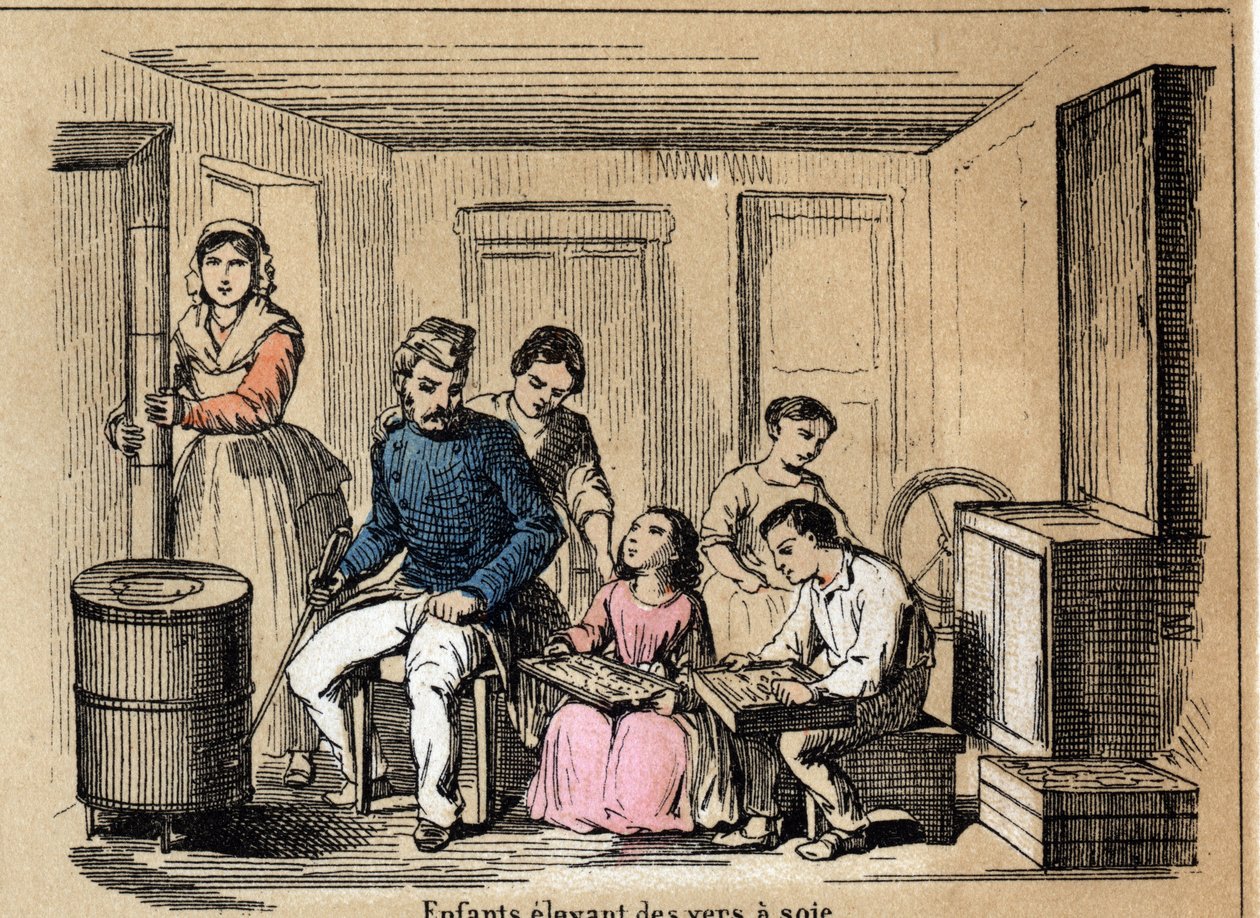 Descripción de la cultura y productos de la seda: niños criando gusanos de seda. Placa “la soie” en “les Recreations instructives” Pintura sinóptica de Jules Delbruck, grabado de 1860. de French School