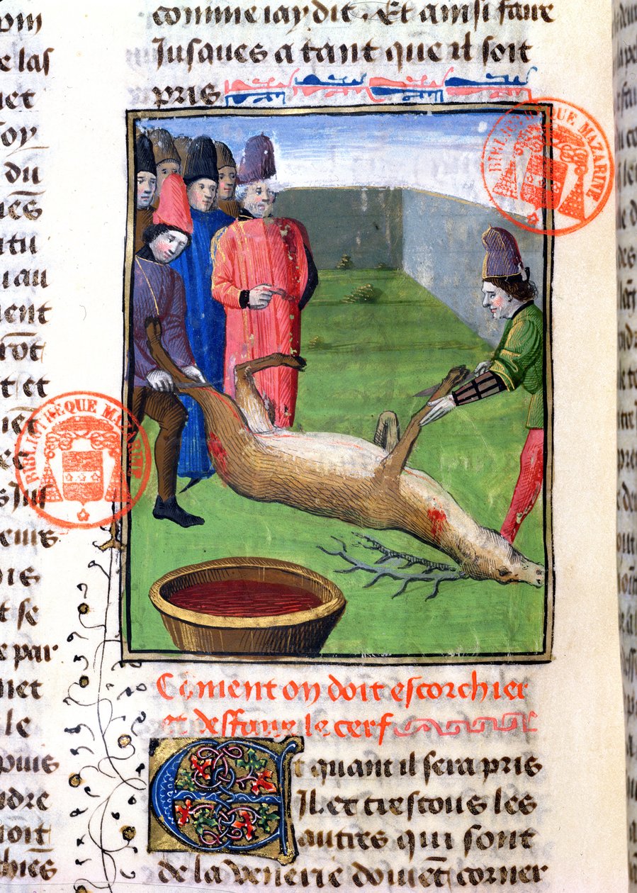 Cortando las patas de un ciervo muerto, del Livre de la Chasse de Gaston Phebus de Foix (1331-91) de French School