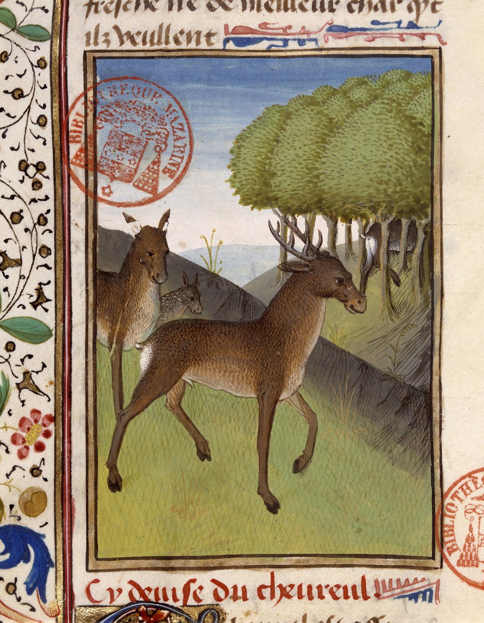 Ciervos y venados - en "El libro de caza de Gaston Phoebus, Conde de Foix, Señor de Béarn" de French School