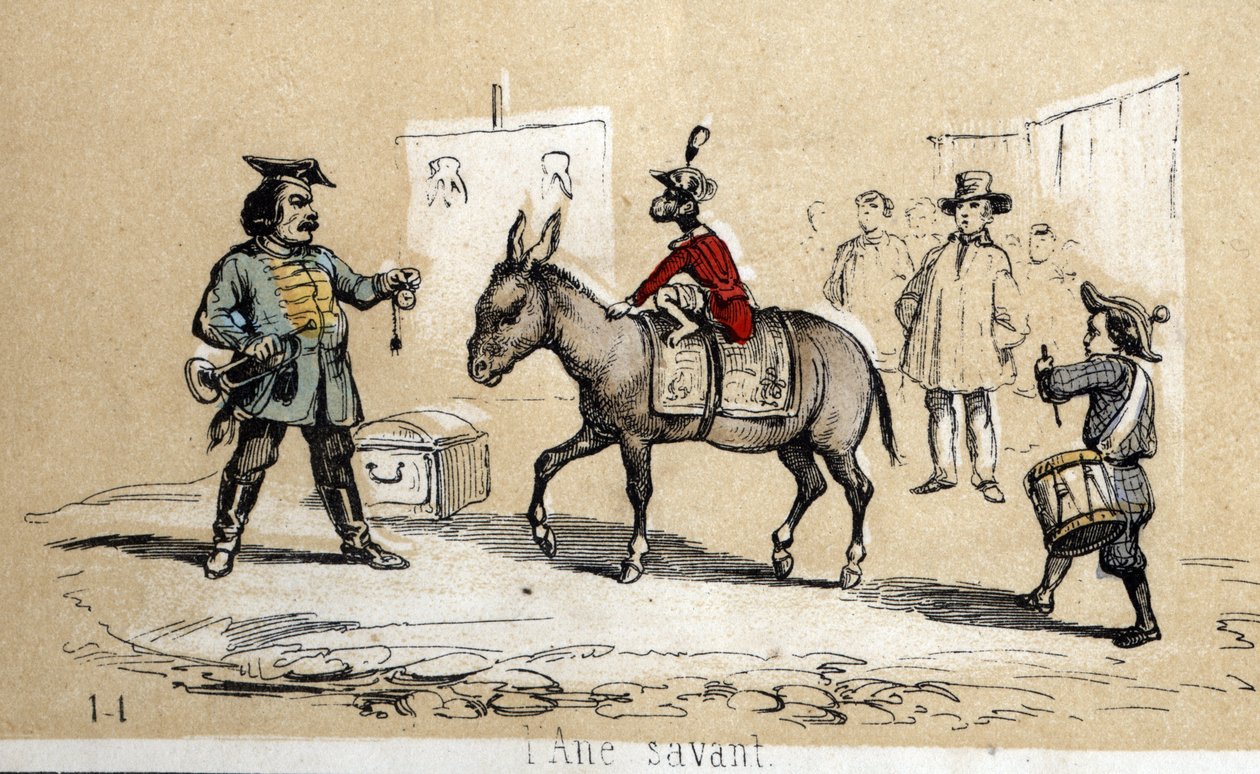 Descripción de diferentes productos y usos del burro: el burro sabio es utilizado por artistas de circo. en "Les Recreations instructives" pintura sinóptica de Jules DELBRUCK, grabado de 1860. Colección privada. de French School