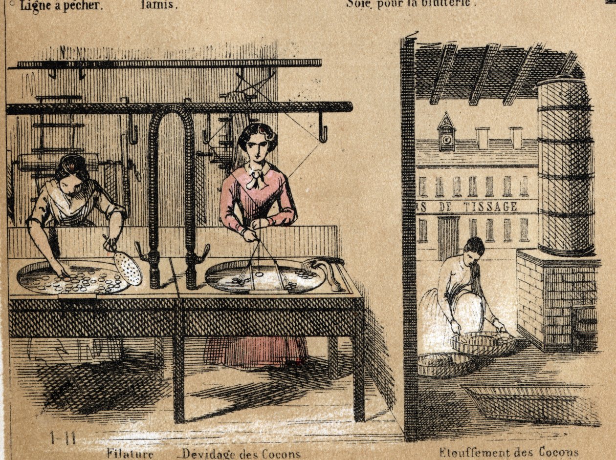 Descripción de la cosecha y productos de la seda: trabajadores hilando seda, quitando o sofocando capullos. Placa “la soie” en “les Recreations instructives” Pintura sinóptica de Jules Delbruck, grabado de 1860. de French School
