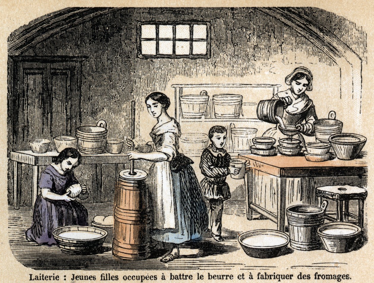 Descripción de los diversos trabajos y productos de la oveja: jóvenes lecheros haciendo mantequilla y quesos en una lechería. Placa “Las ovejas” en “les Recreations instructives” Pintura sinóptica de Jules DELBRUCK, grabado de 1860. Colección privada de French School