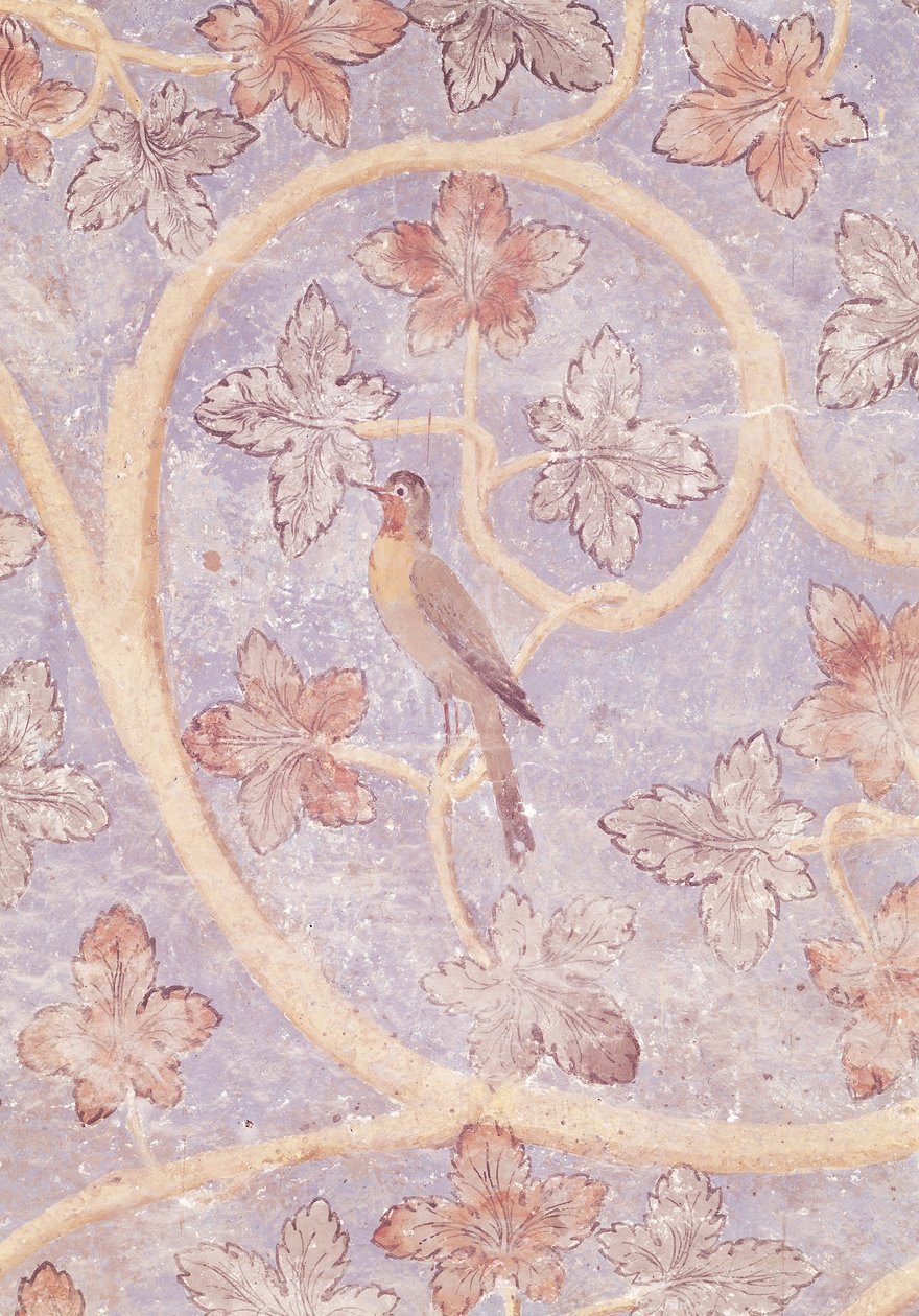 Detalle de un Pájaro, de la decoración mural del dormitorio del Papa, c.1334-62 de French School
