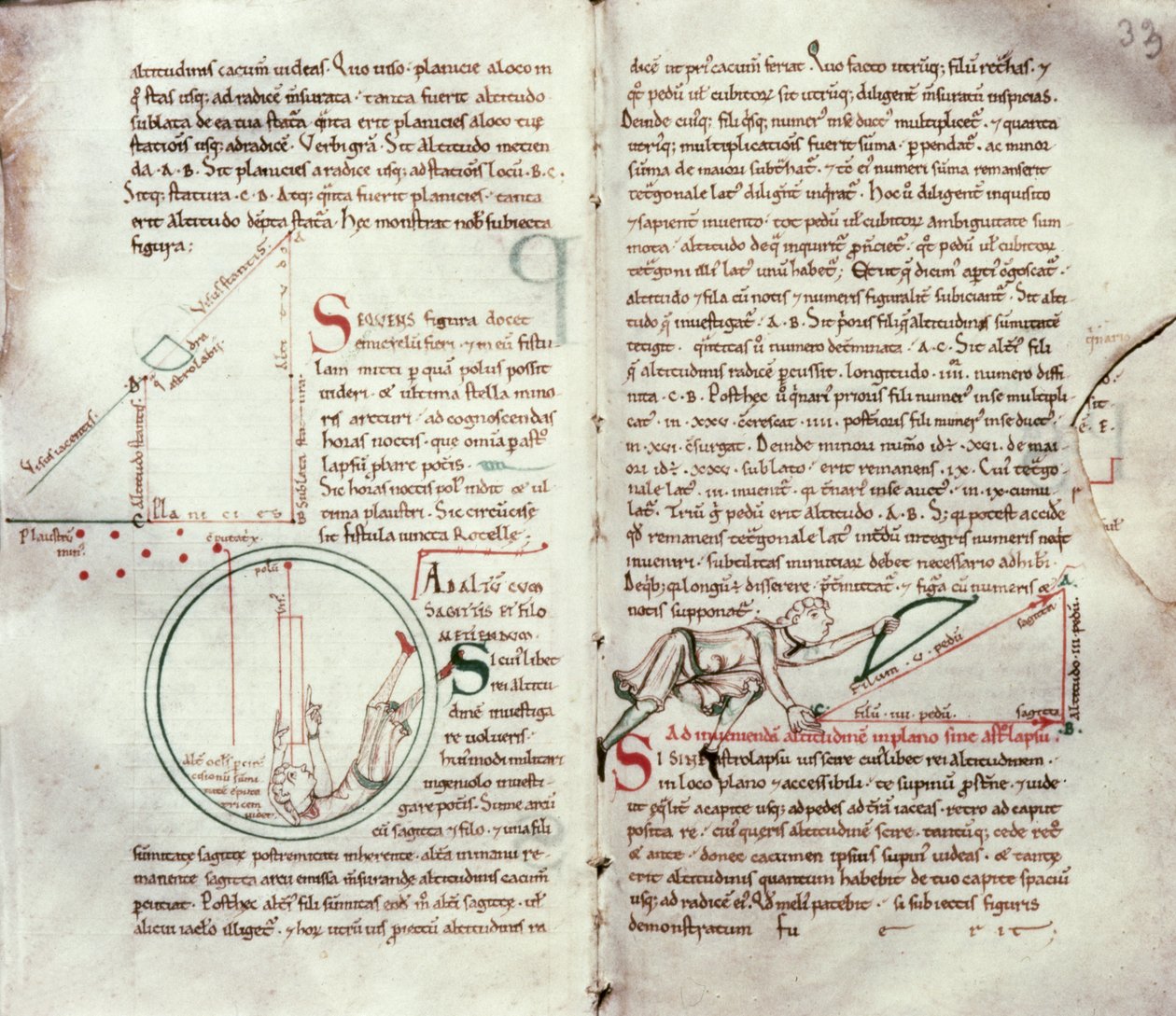 Diagramas de medidas y texto de French School