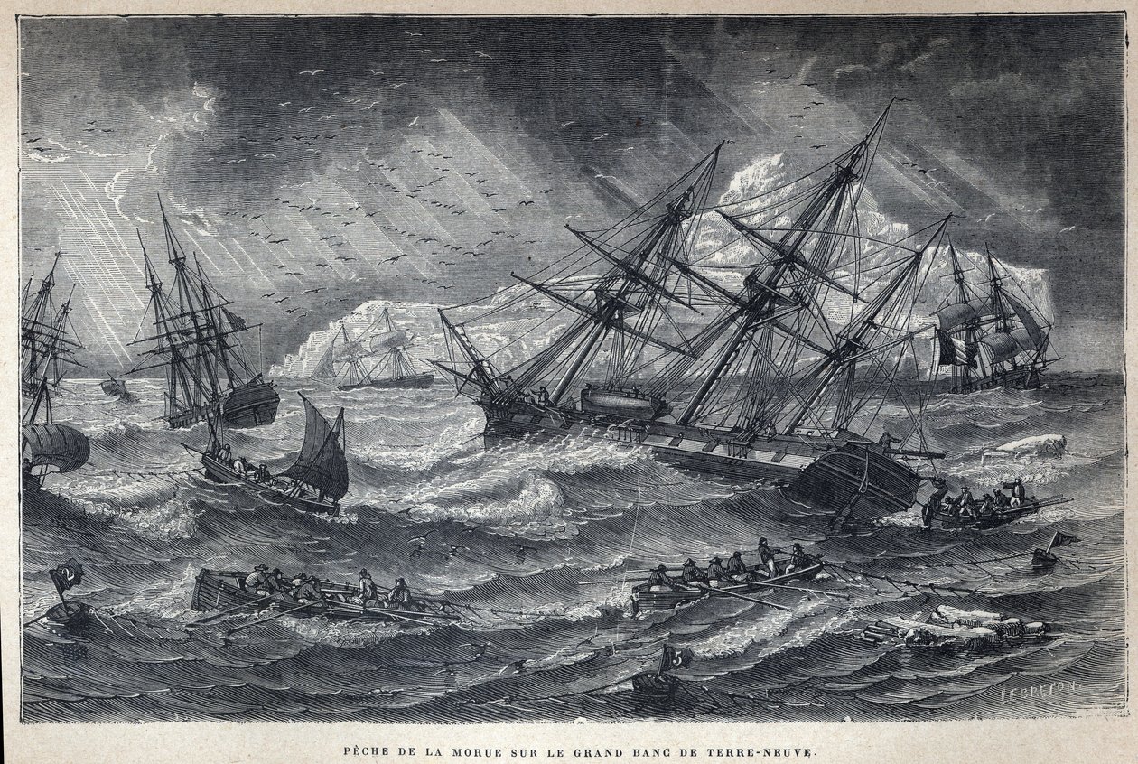 Descubrimiento de Canadá: Pesca de bacalao en el Gran Banco de Terranova, Terranova. Grabado de finales del siglo XIX en "La nouvelle France" de Eugene Guenin. de French School