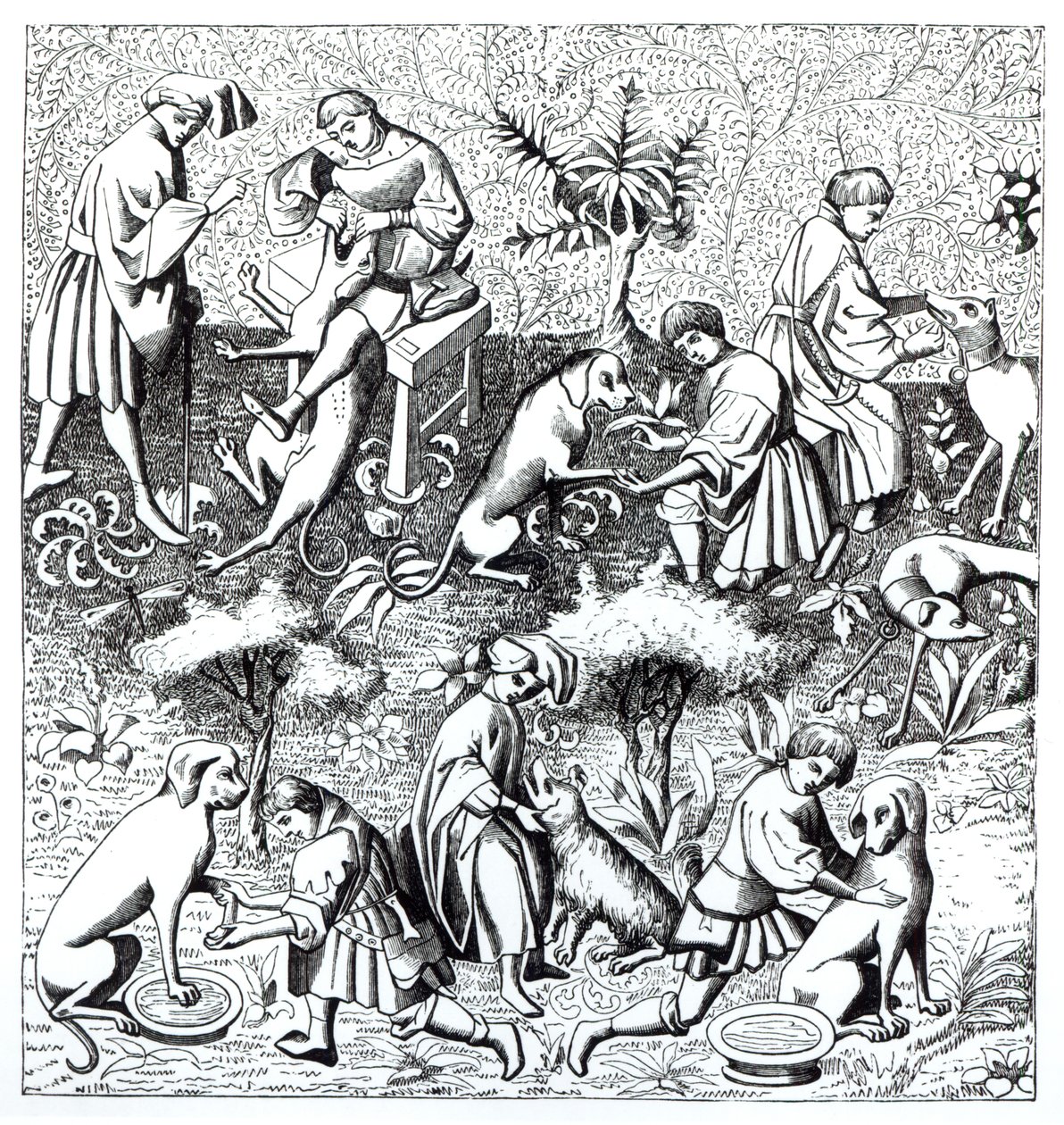 Enfermedades de los perros y su cura, después de una miniatura en el manuscrito de Gaston de Foix de French School