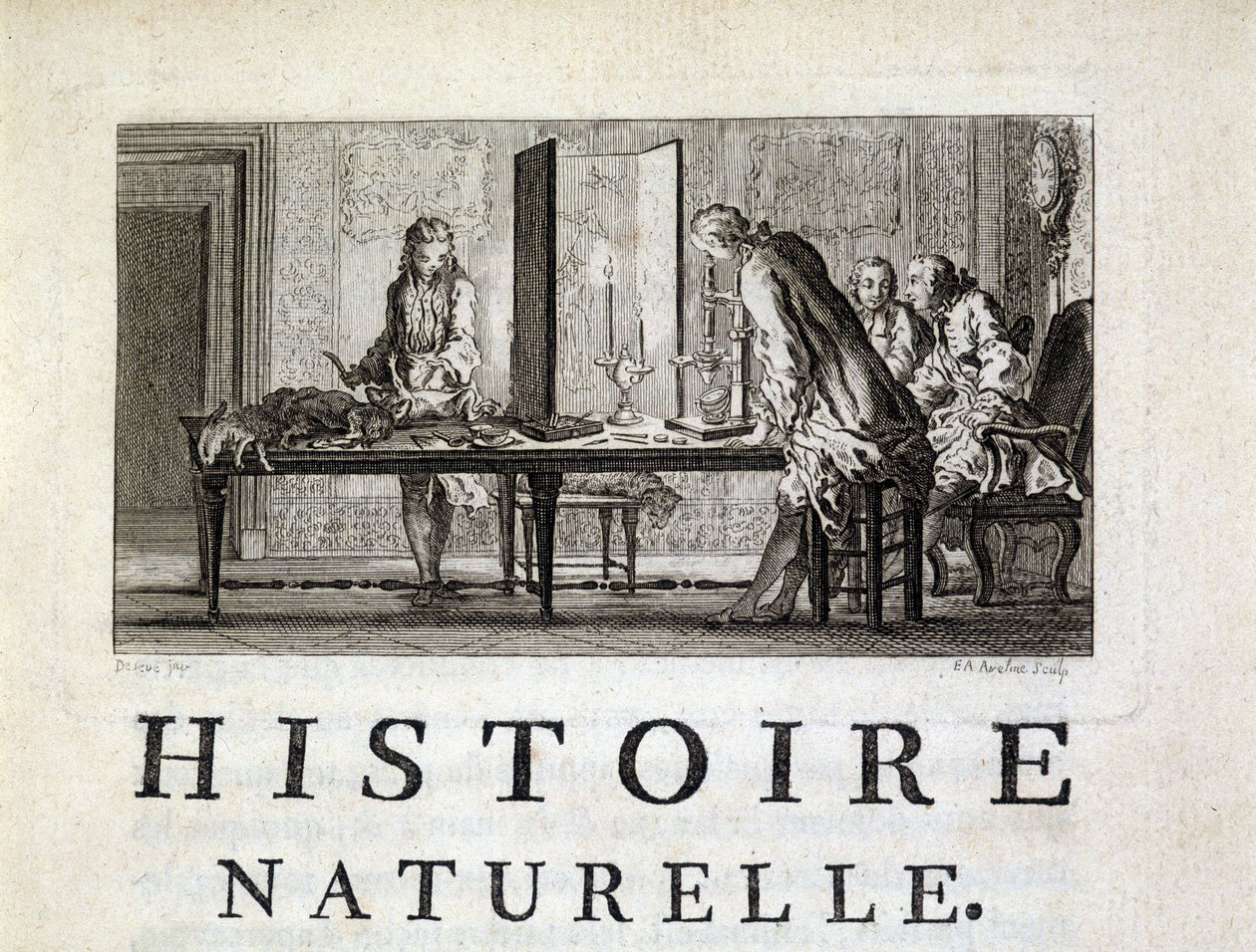 Disección de los animales - en “Histoire naturelle, générale et particulière” de Buffon de French School
