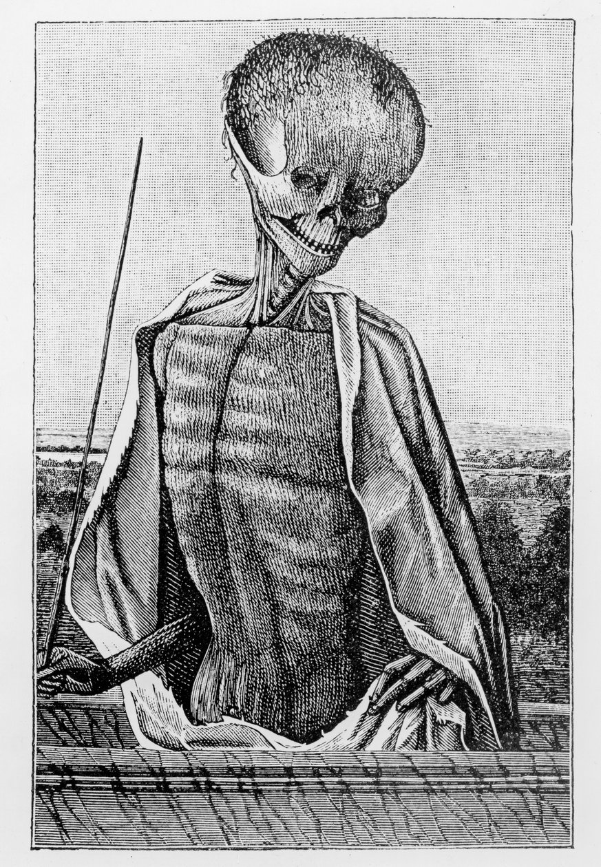 Doctor Muerte, de un Libro de Horas, ilustración de Ciencia y Literatura en la Edad Media y el Renacimiento, escrito y grabado por Paul Lacroix, 1878 de French School