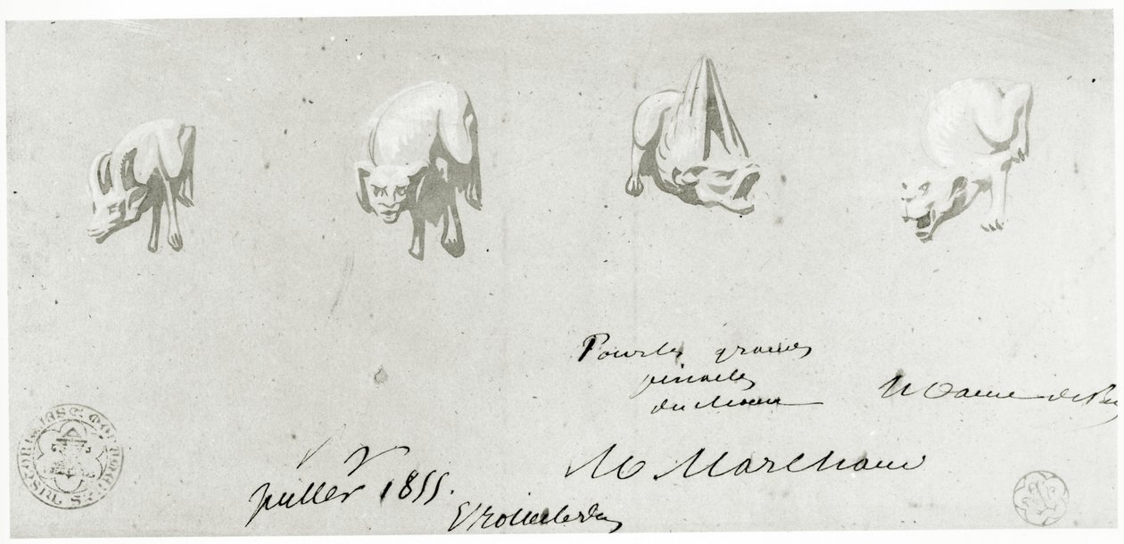 Dibujo para la restauración de las gárgolas de Notre Dame, 1855 de French School