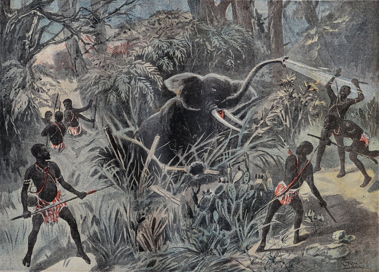 Caza de elefantes en África. El elefante cae en un pozo antes de ser terminado con flechas. Grabado en “Le Pelerin” 22/01/1899. de French School
