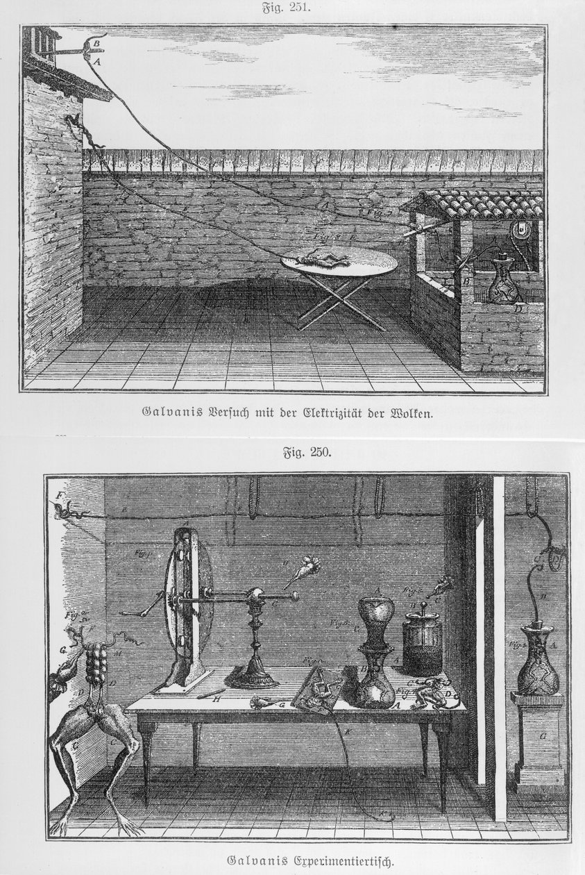 Experimento con ranas por Louis Galvani (1737-98) finales del siglo XVIII de French School