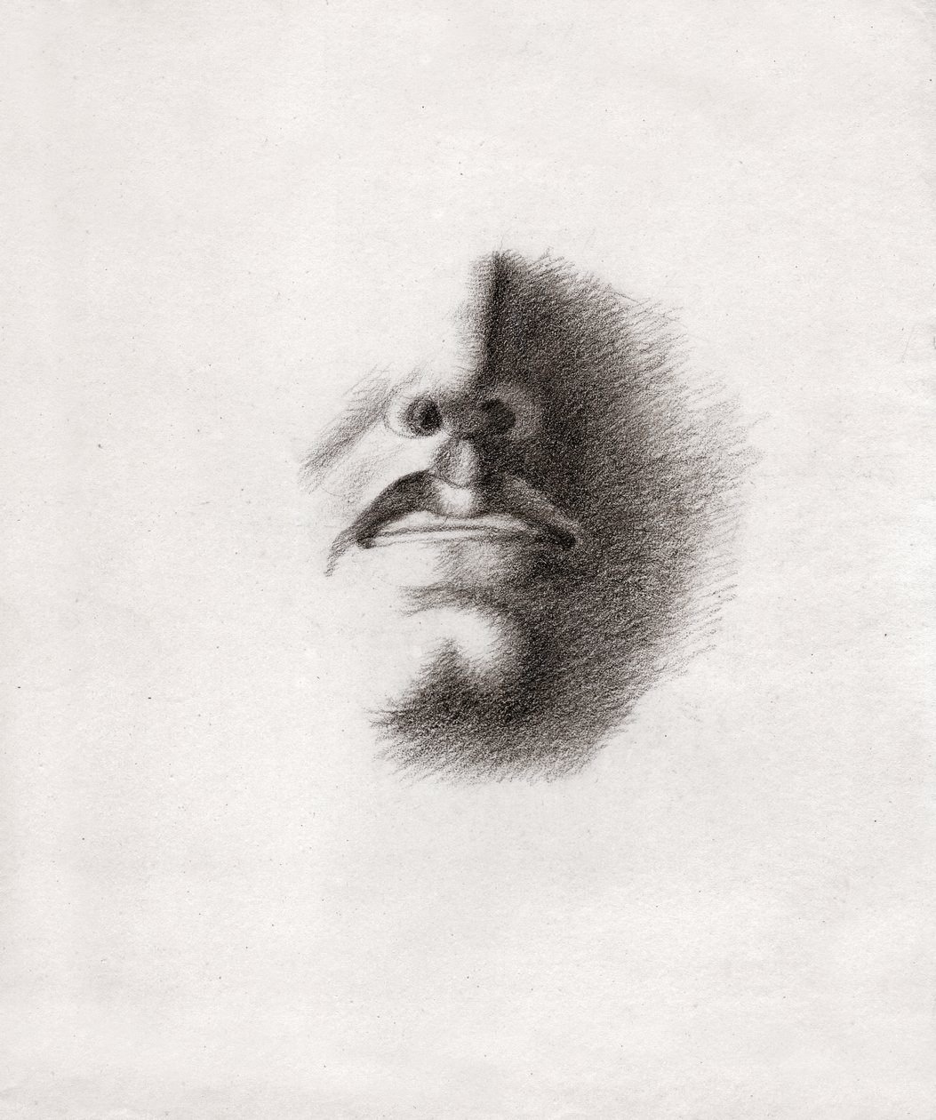 Rostro de un hombre de French School
