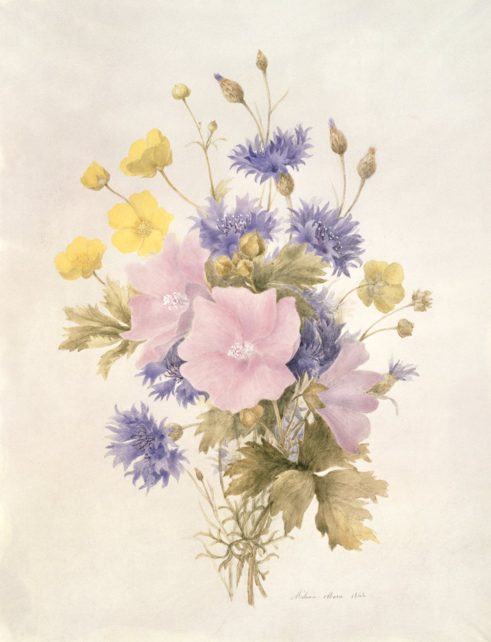 Flores del campo, 1842 de French School