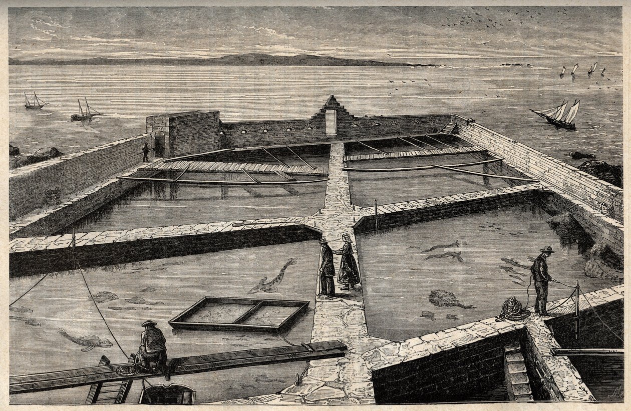 Piscicultura en Concarneau - Bretaña - Establecimiento de piscicultura - Concarneau - Finisterre - Bretaña - grabado en “PATRIE” - DESCRIPCIÓN PICTÓRICA DE FRANCIA EN 6 VOLÚMENES POR LUCIEN HUARD - finales del siglo XIX de French School