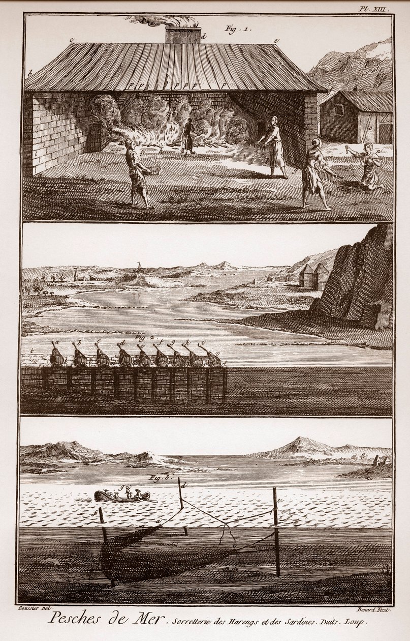 Pesca, arenques y sardinas - “La Gran Enciclopedia, o Diccionario Razonado de las Ciencias, las Artes y los Oficios” por Denis Diderot de French School