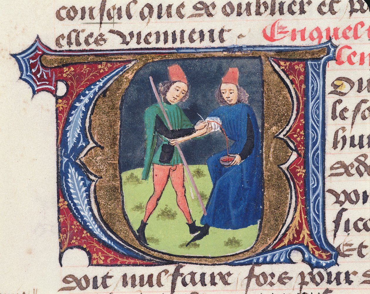 Sangría, del Traité de Médecine de Aldebrande de Florencia, 1356 de French School