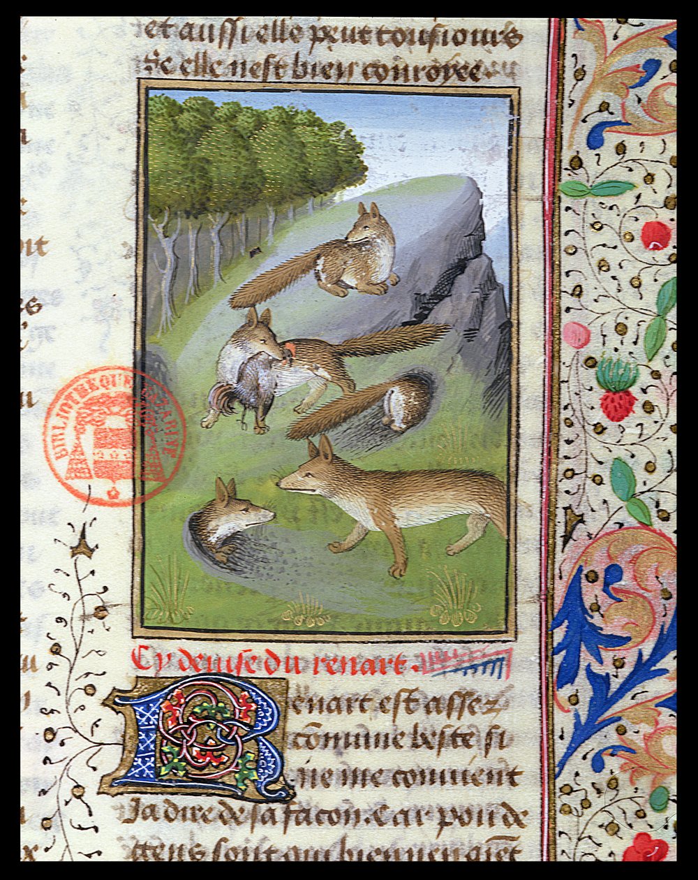 Zorros, del 