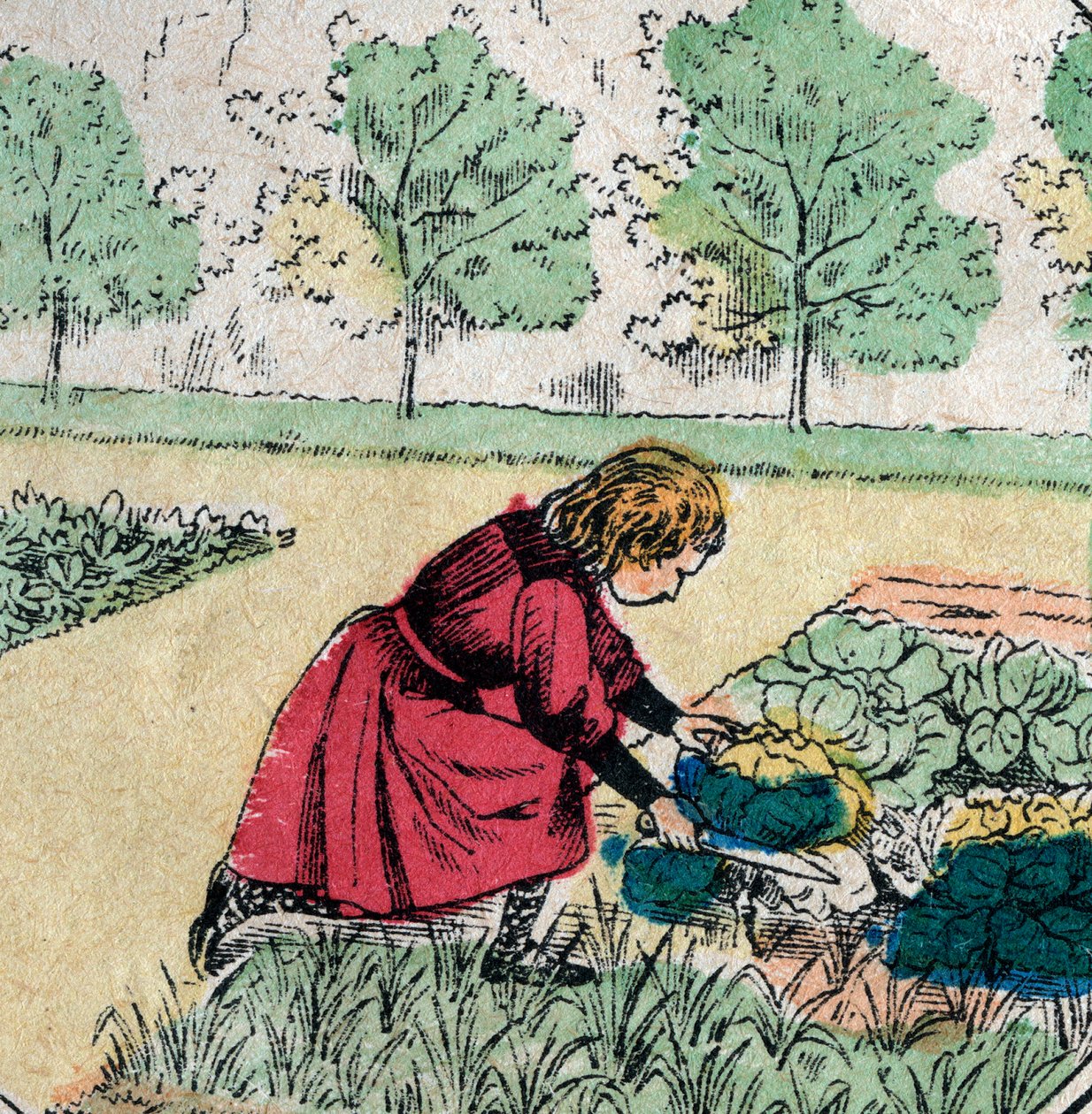 Creencia francesa: Una niña, creyendo que los bebés nacen en coles o rosas, corta los brotes de un huerto - Imagen de Epinal - Siglo XIX (grabado) de French School