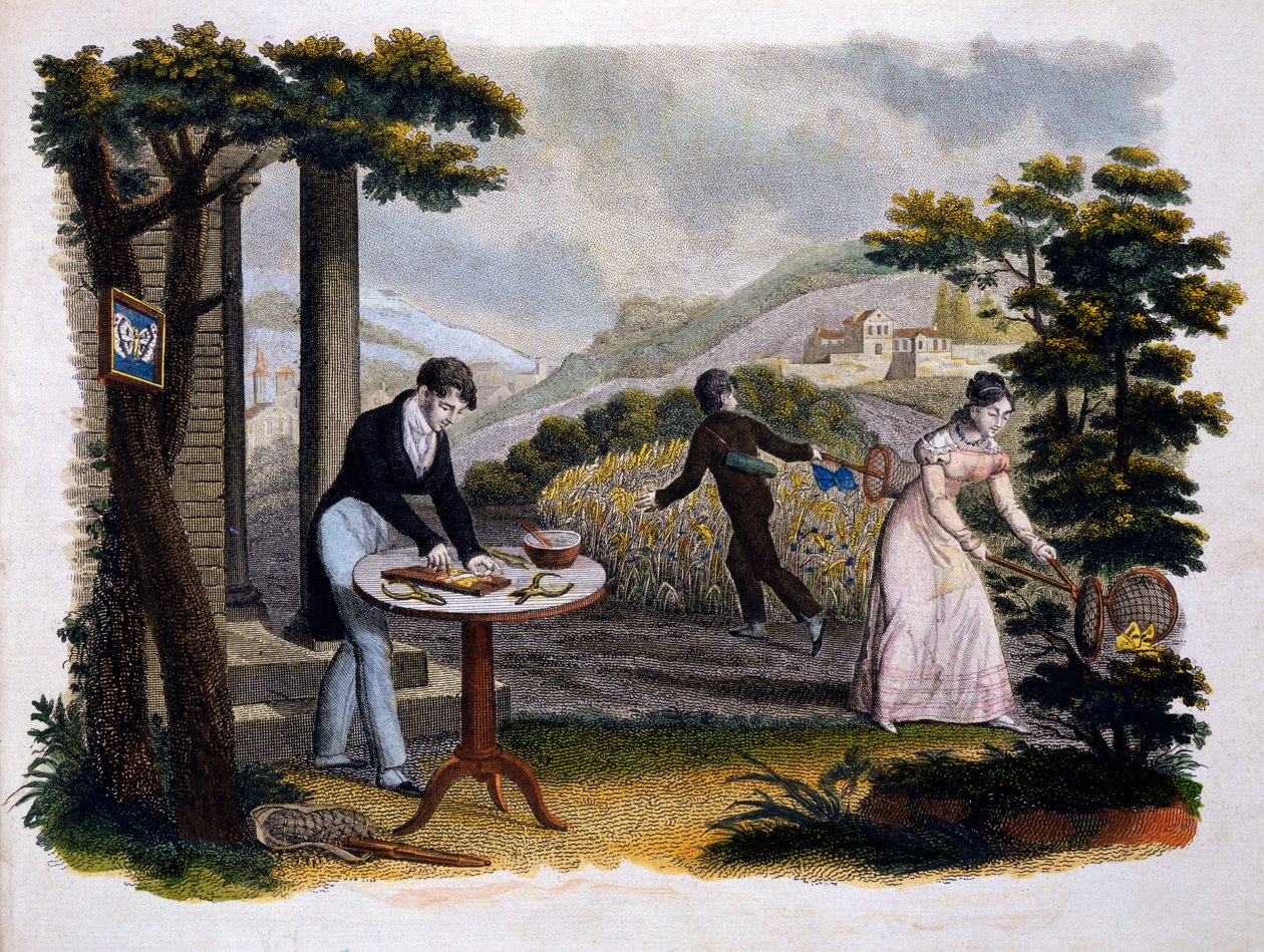 Frontispicio de Les Papillons... por Eugene Balland (1796-c.1850), publicado por P. Blanchard, Lecerf, París, 1823 (grabado en color) de French School