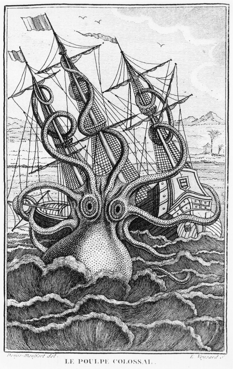 Pulpo gigante, ilustración de L