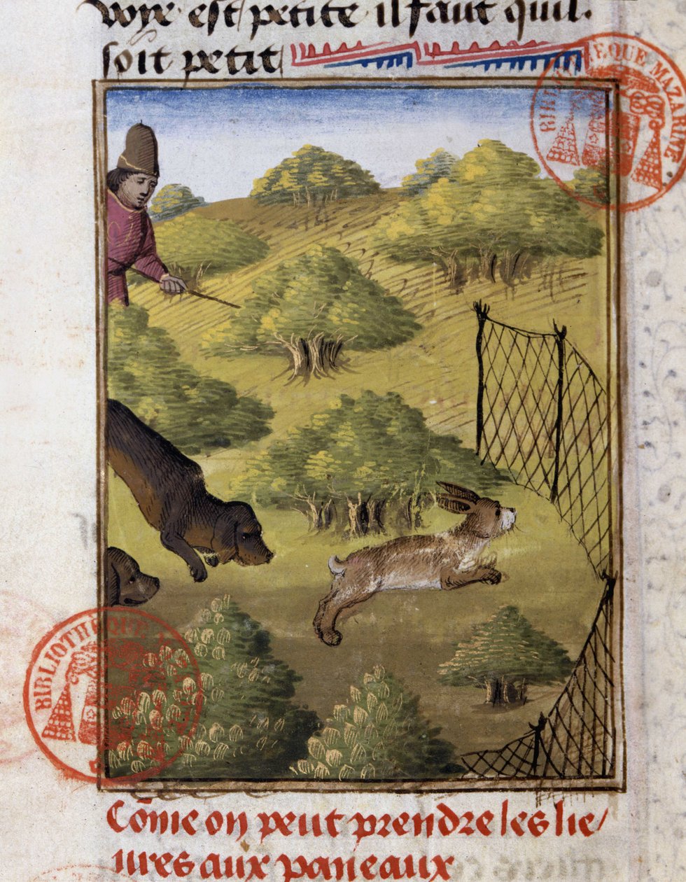 Caza de liebres - en "Libro de Caza de Gaston Phoebus, Conde de Foix, Señor de Béarn" de French School
