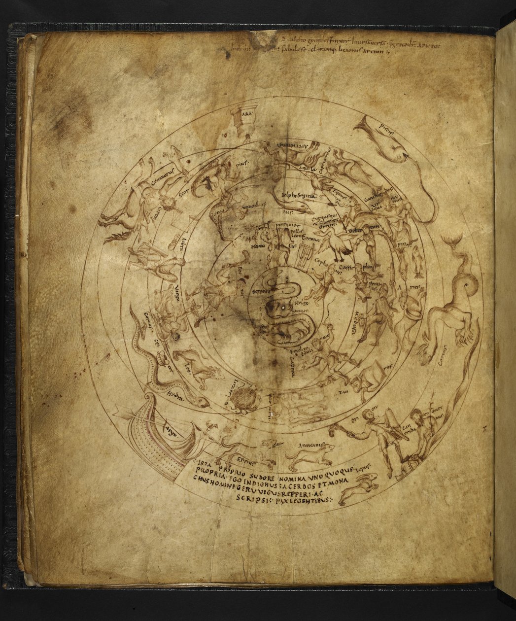 Harley 647 f.21v Diagrama de los hemisferios norte y sur, de 