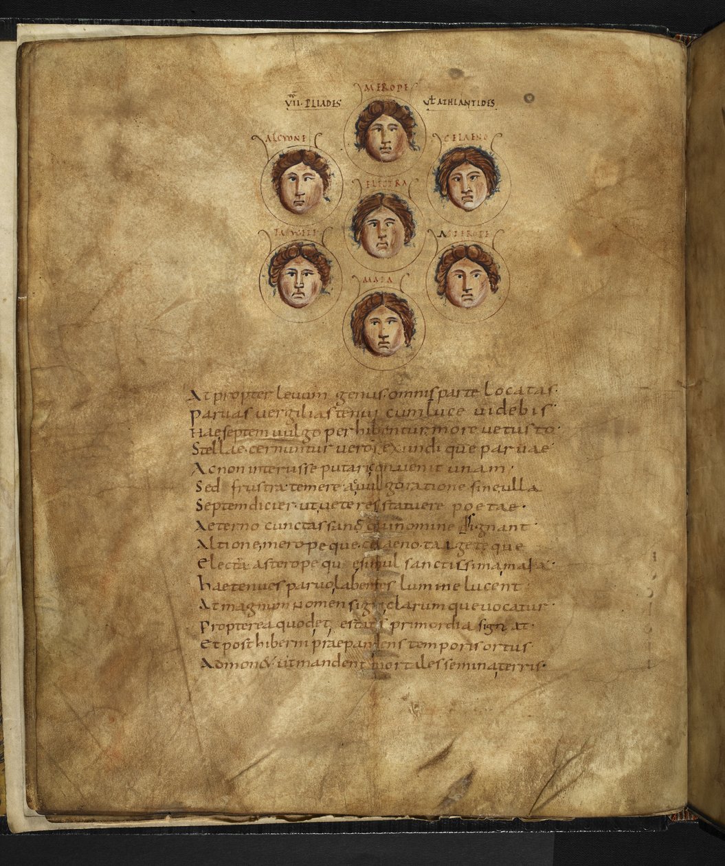 Harley 647, f.4v Ilustración de los rostros de las Pléyades, siete hermanas que vivían en los cielos como estrellas, con sus nombres inscritos a su alrededor, de 