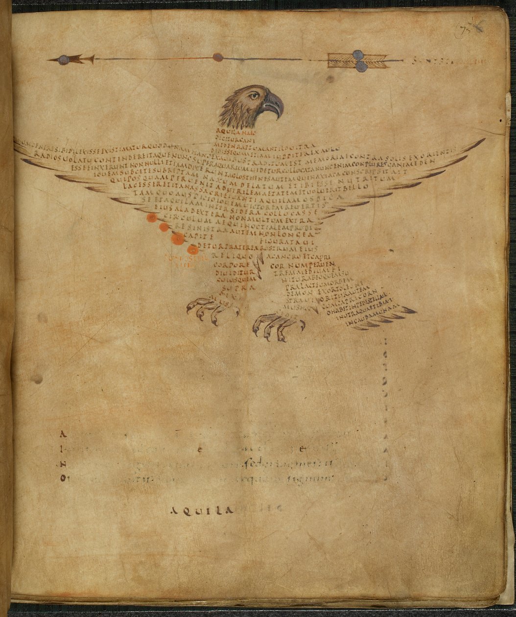 Harley 647, f.7 Ilustración de la constelación 