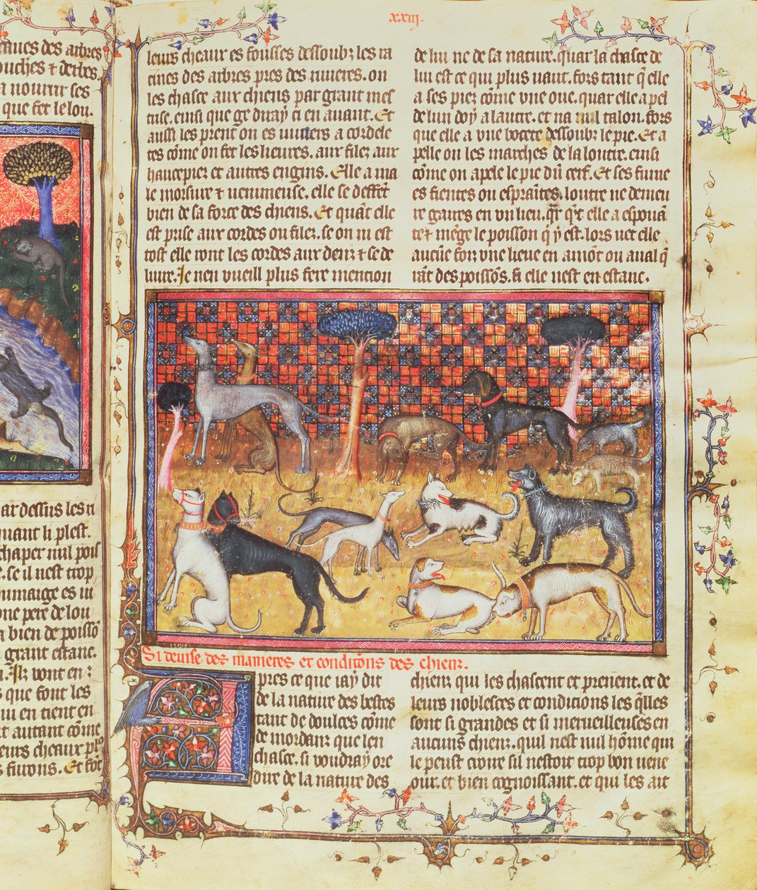 Perros de caza por Gaston III, Conde de Foix Phebus le Chasseur (1331-91), de Livre de la Chasse, 1387-89 de French School