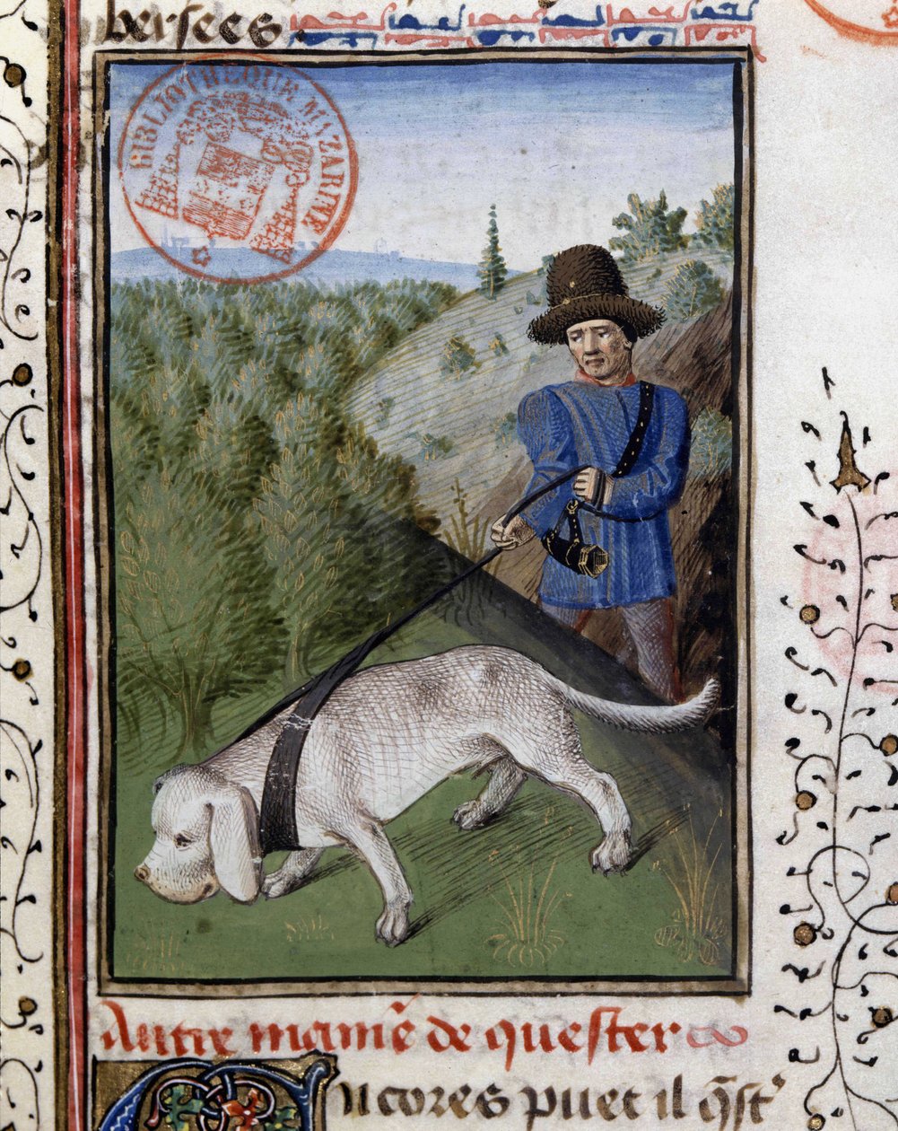 Perro de caza sostenido con una correa de rastreo - en "Libro de Caza de Gaston Phoebus, Conde de Foix, Señor de Béarn" de French School