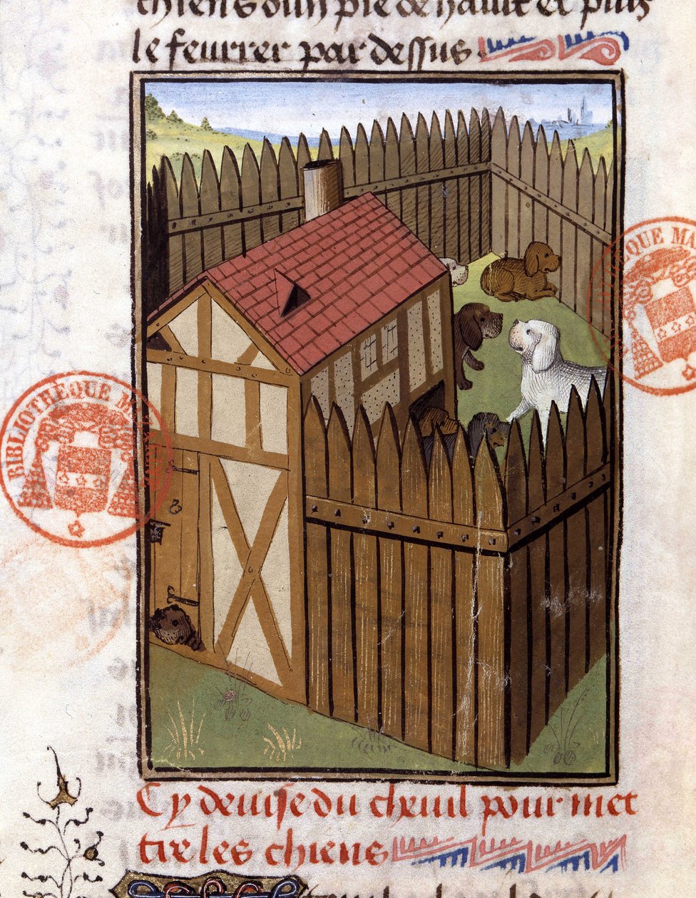 Perros de caza en un perrera - en "Libro de Caza de Gaston Phoebus, Conde de Foix, Señor de Bearn" de French School