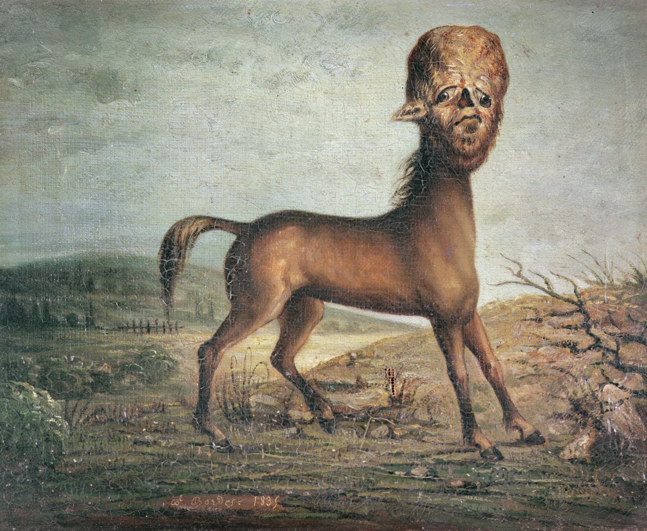 Yegua hidrocefálica, nacida el 21 de enero de 1821, 1835 de French School