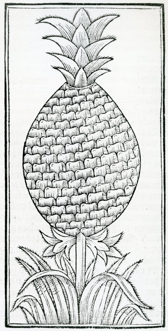 Ilustración de 