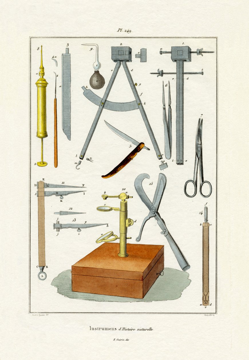 Instrumentos de French School