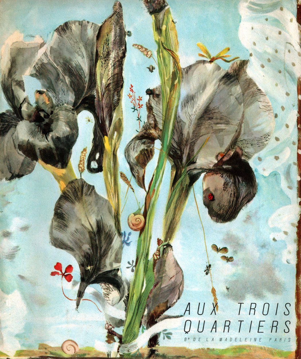 Iris (flor). (Ilustración, alrededor de 1920) de French School