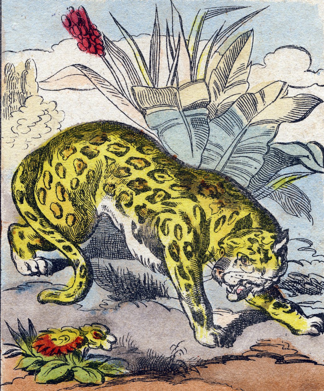 Jaguar. Grabado en "Buffon Alphabet des Animaux". 3ª Serie N 1. Imágenes de Epinal, Epinal, finales del siglo XIX. 16 páginas. de French School