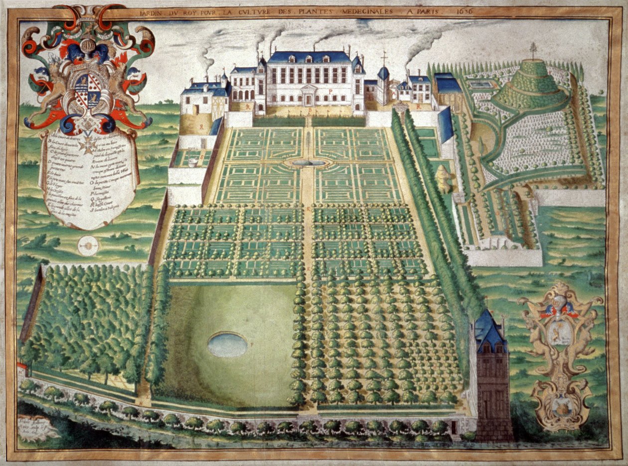 Jardín de las Plantas, París. 1636 de French School