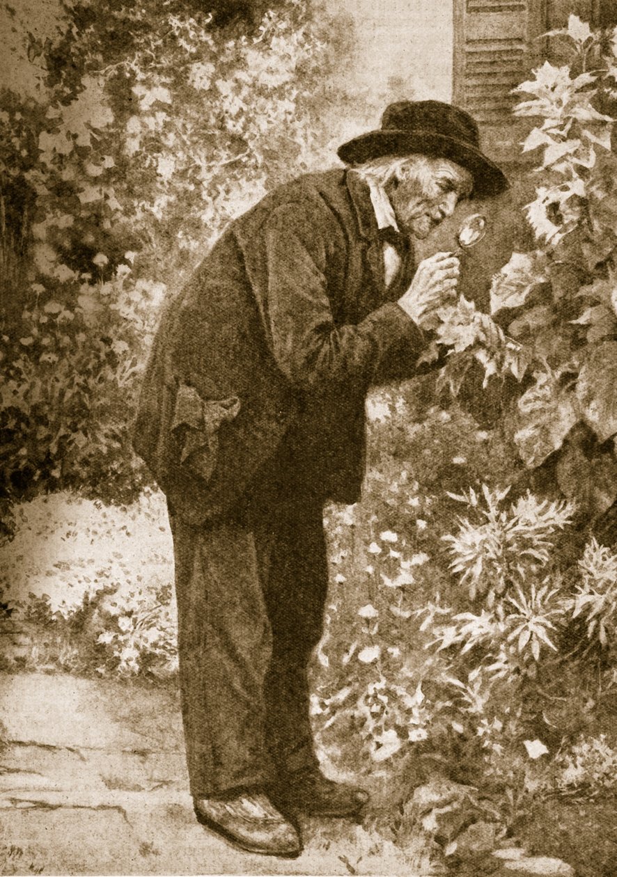 Jean-Henri Fabre observando insectos de French School