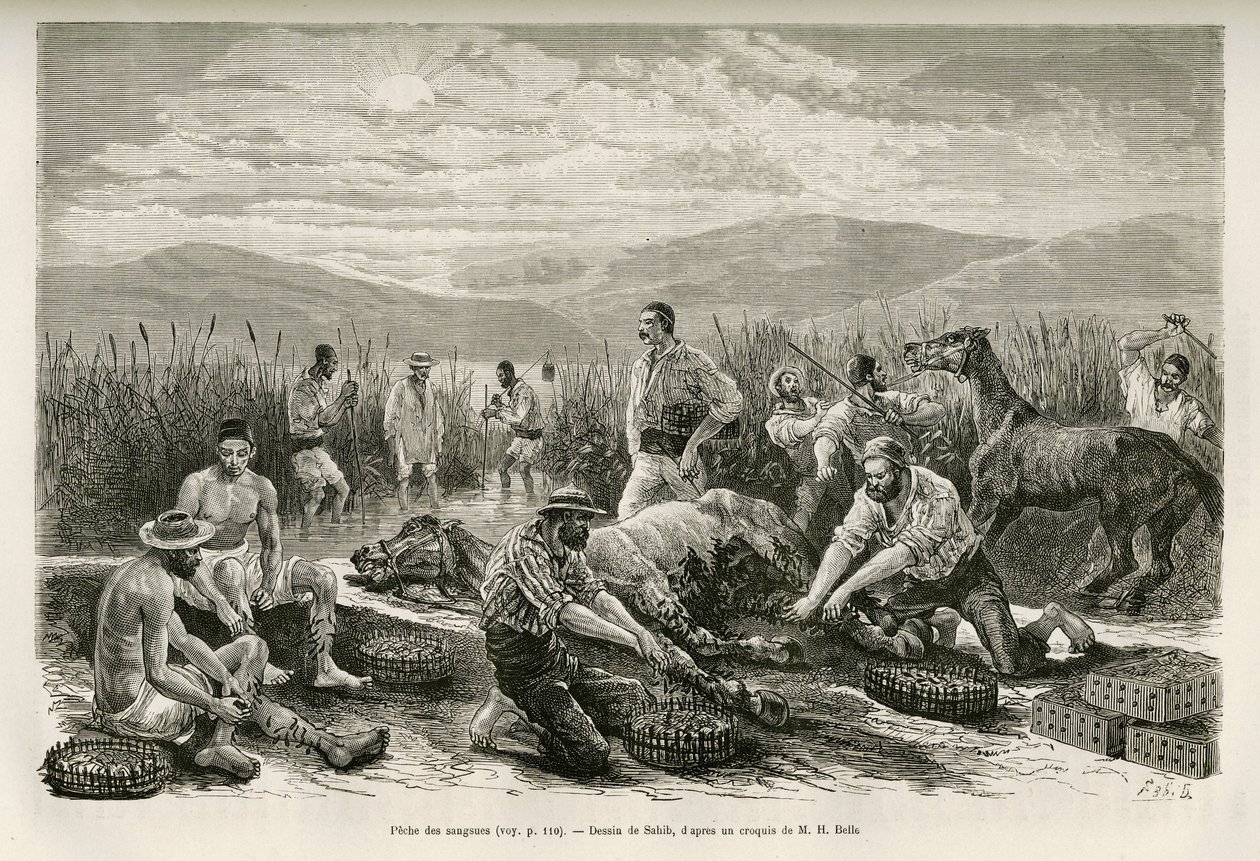 La pesca de las sanguijuelas, dibujo de Sahib, para ilustrar la historia de Henri Belle: Viaje a Grecia de French School
