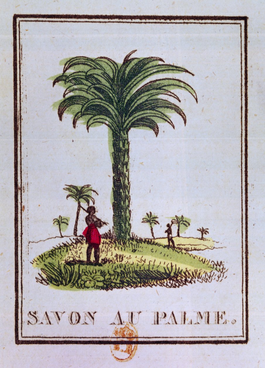 Etiqueta para un jabón perfumado con aceite de palma, que representa una palmera de French School