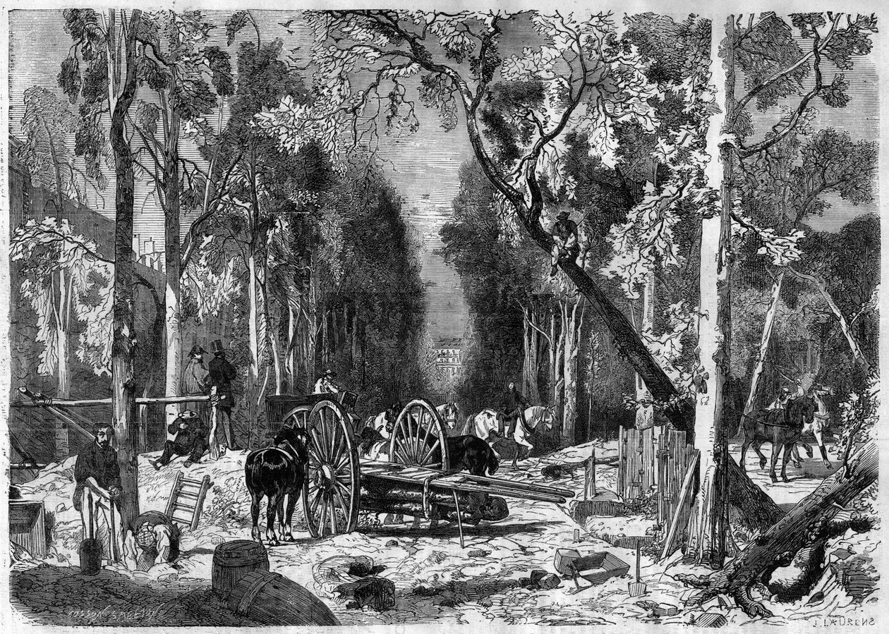 El leñador en el jardín de Luxemburgo en París en 1870 - Grabado de 1870 de French School