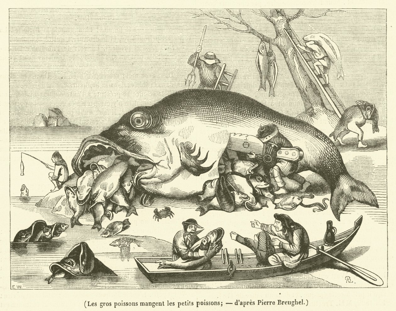 Los peces grandes se comen a los pequeños (engorde) de French School