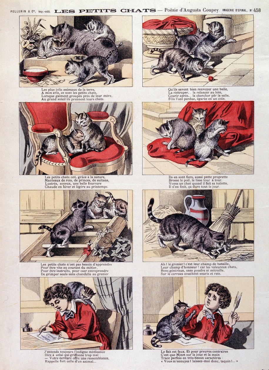 Gatitos - Imagen de Épinal de French School