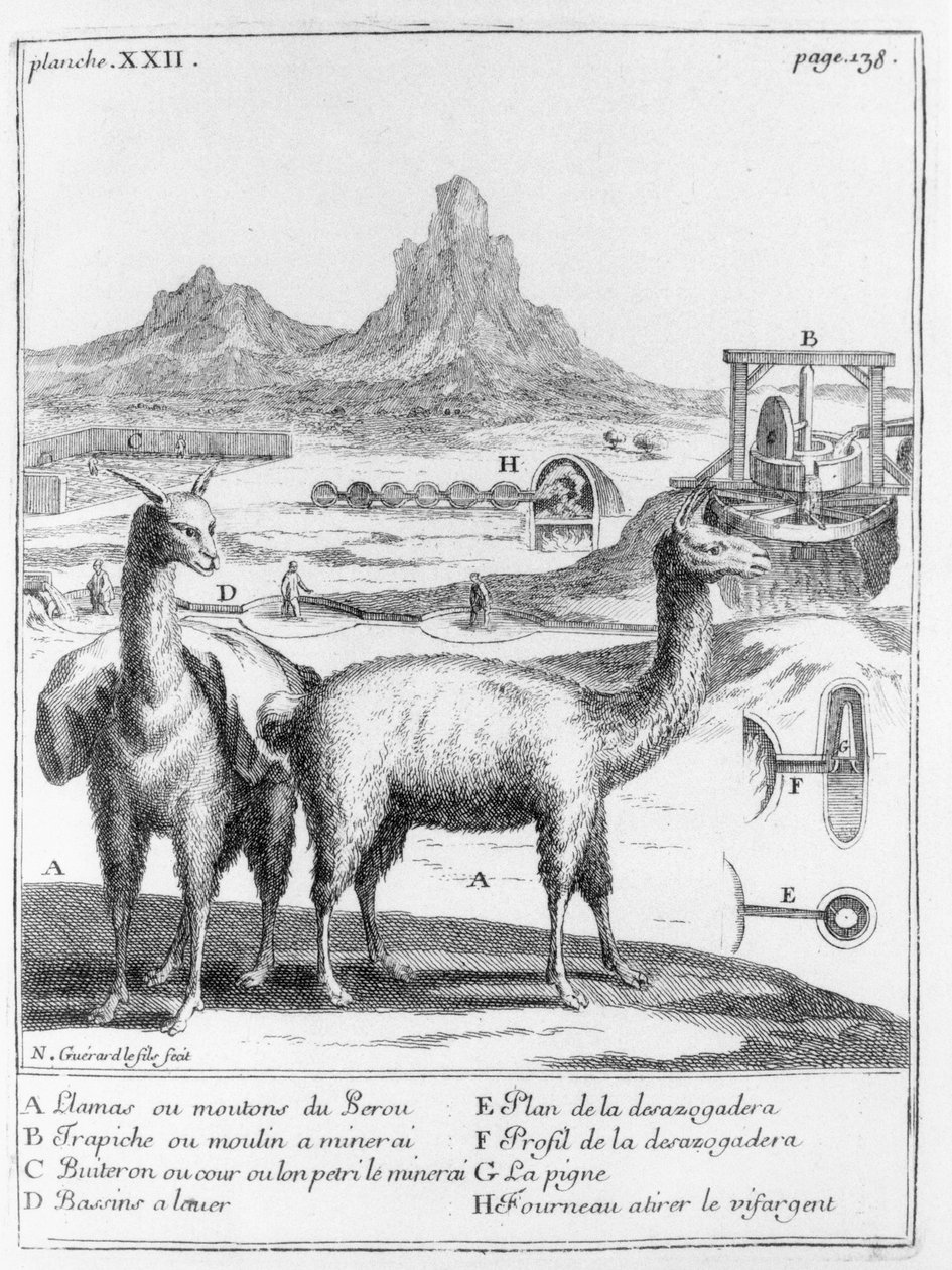 Llamas y diagramas sobre la extracción de minerales, de Relación del viaje al mar del sur a las costas de Chile y Perú por A.F. Frezier, 1716 de French School