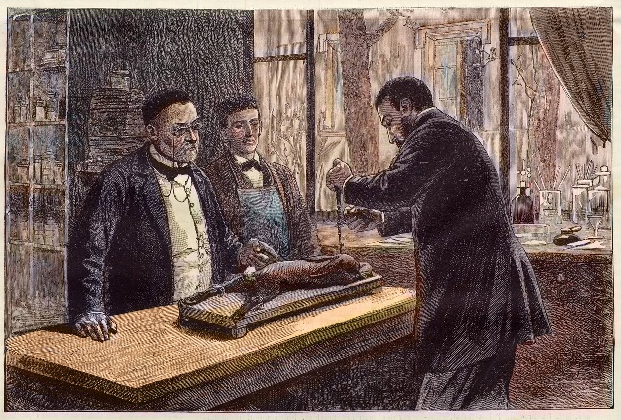 Louis Pasteur (1822-1895), químico y microbiólogo francés, experimentando con un conejo cloroformado durante su búsqueda de una cura para la rabia de French School