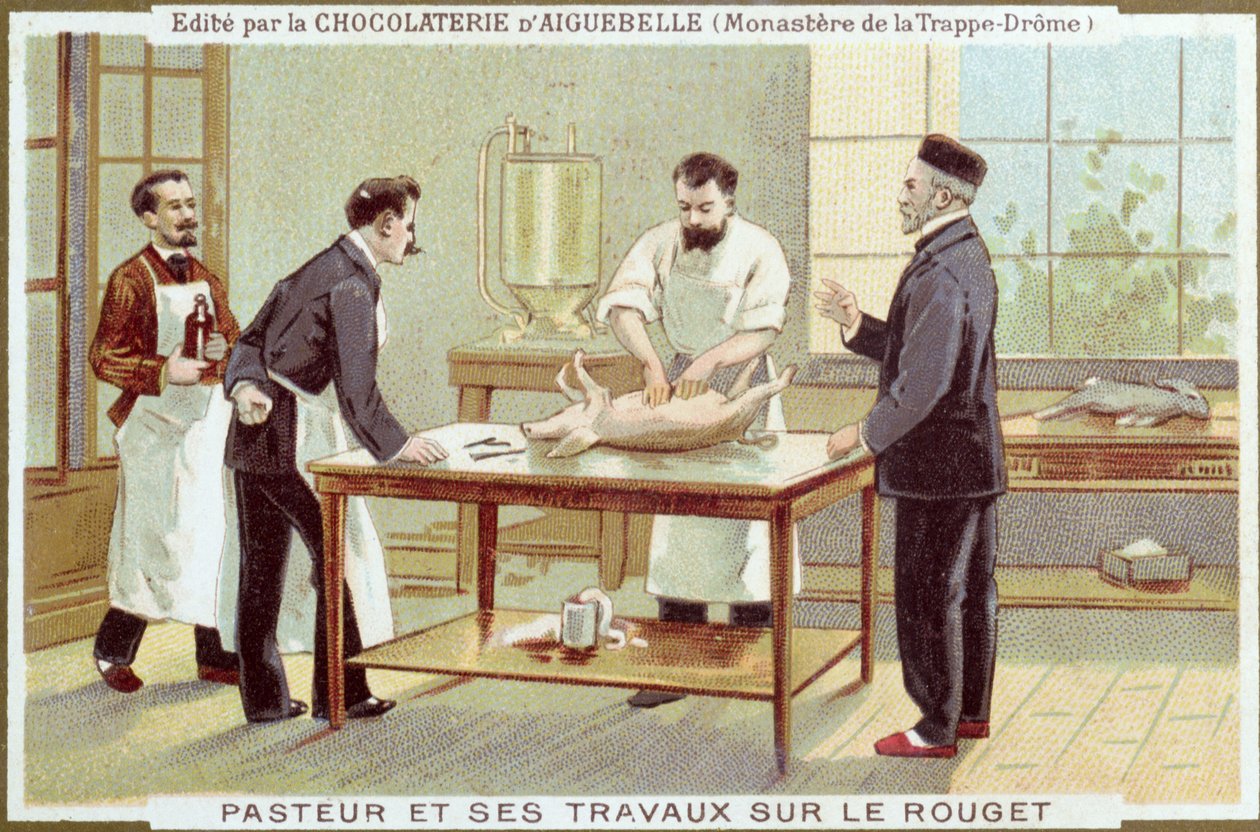 Louis Pasteur (1822-95) trabajando en la investigación del sarampión, tarjeta publicitaria para la Chocolaterie d