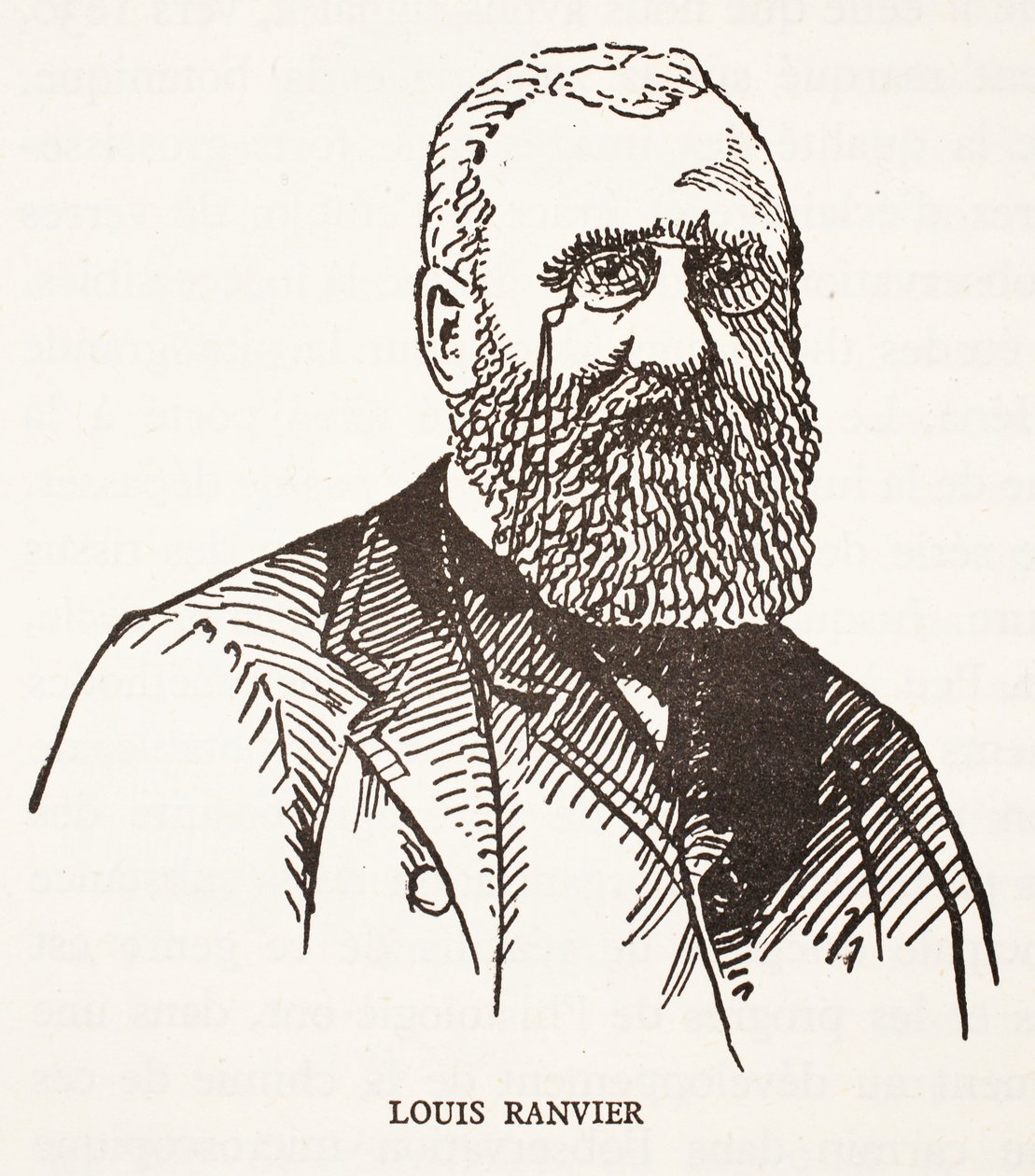 Louis Ranvier de French School
